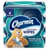 image:imageCharmin Flushable Wipes 480 Total Wipes 12 Packs of 4040 Count Pack of 4