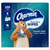 image:imageCharmin Flushable Wipes 480 Total Wipes 12 Packs of 4040 Count Pack of 8