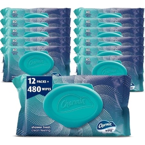 Charmin Flushable Wipes, 480 Total Wipes (12 Packs of 40)(40 Count (Pack of 12))